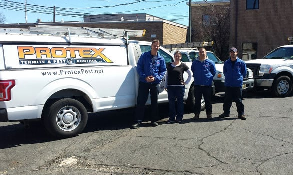 Pest Control Green Brook NJ